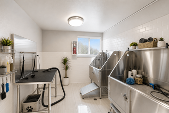 Park station pet spa